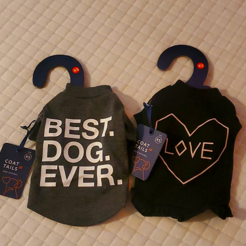 Xs chihuahua yorkie shirt dress